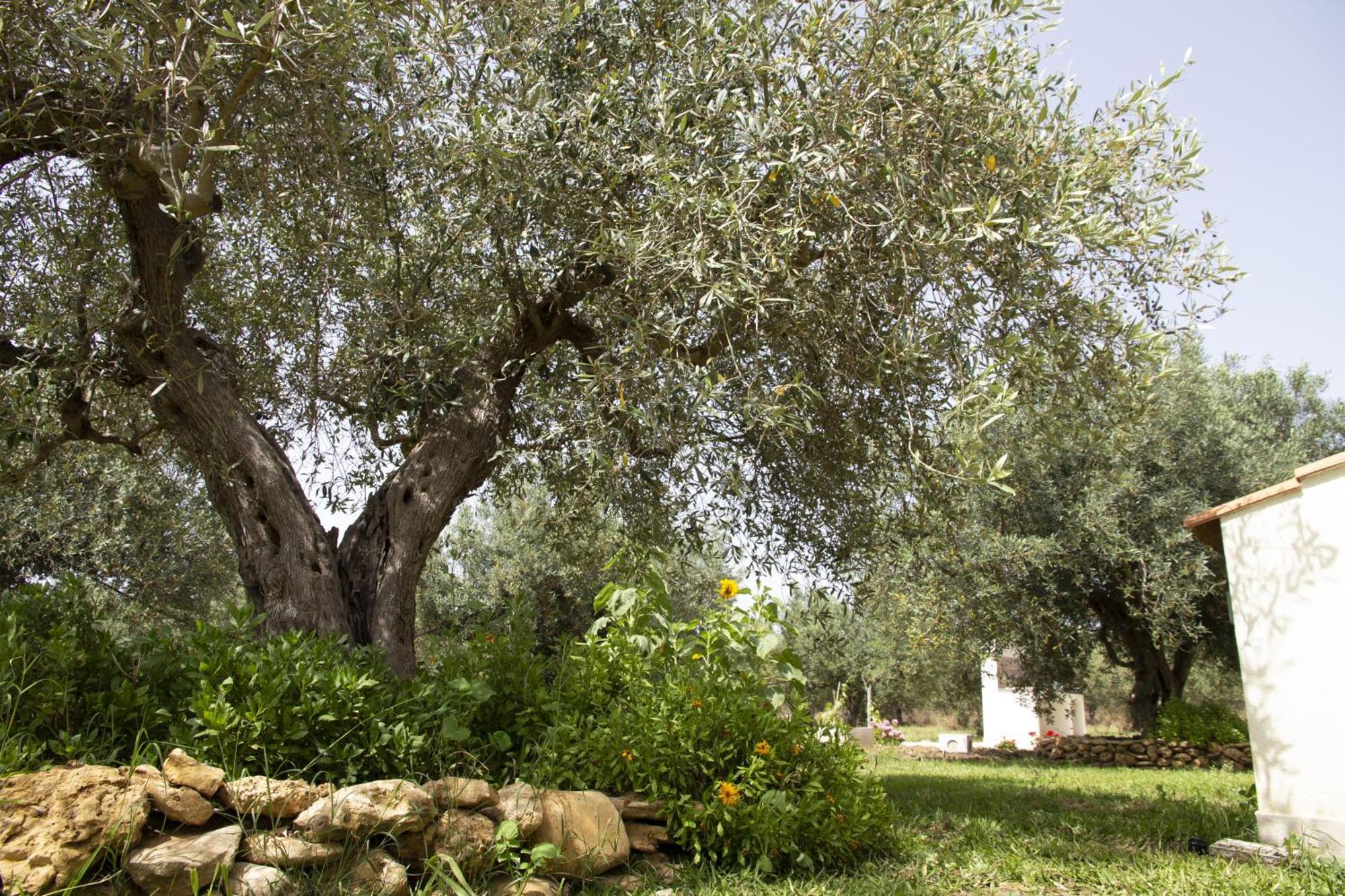 Casa Raineri Villa Paceco Bagian luar foto